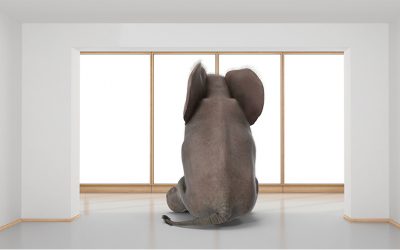 Name the Elephant in the Room