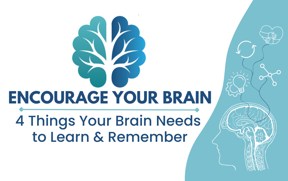 4 Things Your Brain Needs to Learn and Remember