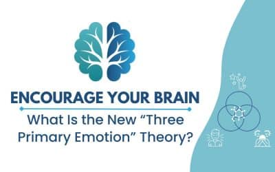 Discover the Science Behind Your Emotions: The 3 Primary Emotion Theory