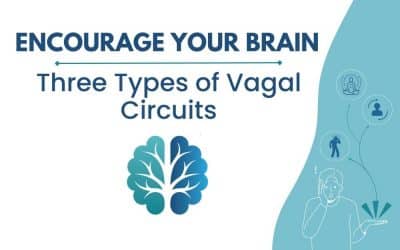 3 Types of Vagal Circuits